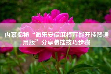内幕揭秘“微乐安徽麻将万能开挂器通用版	”分享装挂技巧步骤
