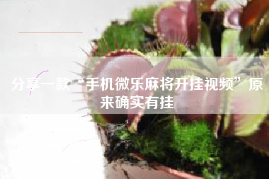 分享一款“手机微乐麻将开挂视频”原来确实有挂