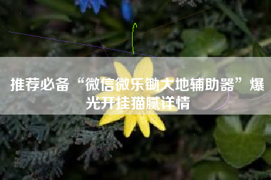 推荐必备“微信微乐锄大地辅助器”爆光开挂猫腻详情