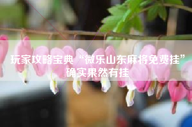 玩家攻略宝典“微乐山东麻将免费挂	”确实果然有挂