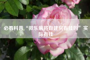 必看科普“微乐麻将自建房有挂吗”实际有挂