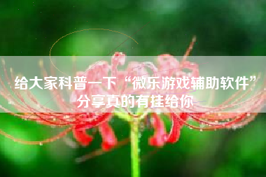 给大家科普一下“微乐游戏辅助软件”分享真的有挂给你