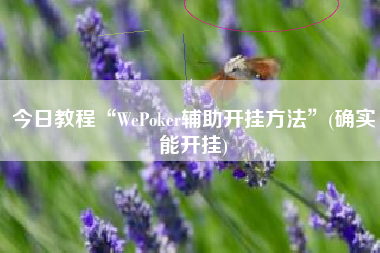今日教程“WePoker辅助开挂方法”(确实能开挂)