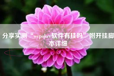 分享实测“wepoker软件有挂吗”附开挂脚本详细