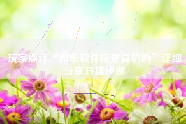 玩家点评“微乐软件挂是真的吗”详细分享开挂步骤