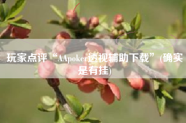玩家点评“AApoker透视辅助下载	”(确实是有挂)