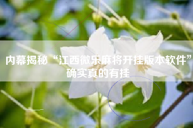 内幕揭秘“江西微乐麻将开挂版本软件”确实真的有挂