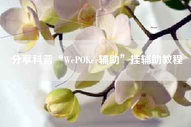 分享科普“WePOKer辅助”挂辅助教程