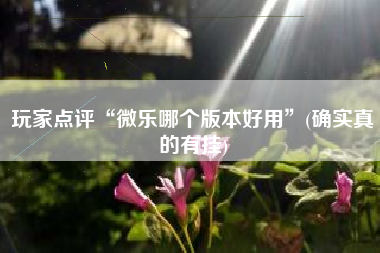 玩家点评“微乐哪个版本好用”(确实真的有挂)