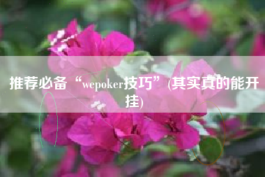 推荐必备“wepoker技巧	”(其实真的能开挂)