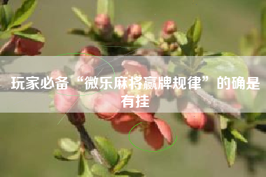 玩家必备“微乐麻将赢牌规律”的确是有挂