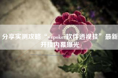 分享实测攻略“wepoker软件透视挂”最新开挂内幕曝光