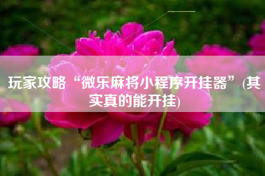 玩家攻略“微乐麻将小程序开挂器”(其实真的能开挂)