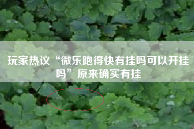 玩家热议“微乐跑得快有挂吗可以开挂吗”原来确实有挂