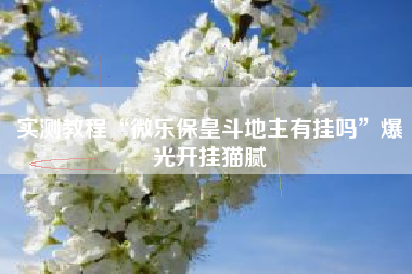 实测教程“微乐保皇斗地主有挂吗”爆光开挂猫腻