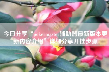 今日分享“pokermaster辅助器最新版本更新内容介绍	”详细分享开挂步骤