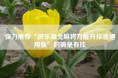 强力推荐“微乐湖北麻将万能开挂器通用版”的确是有挂