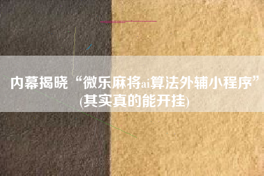 内幕揭晓“微乐麻将ai算法外辅小程序”(其实真的能开挂)