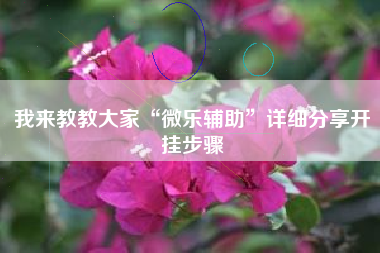 我来教教大家“微乐辅助”详细分享开挂步骤