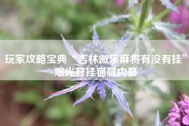 玩家攻略宝典“吉林微乐麻将有没有挂	”爆光开挂猫腻内幕