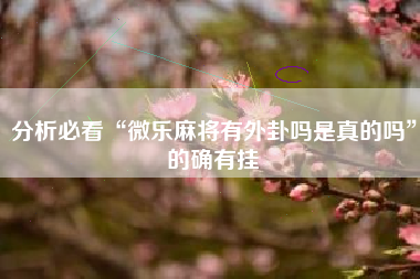 分析必看“微乐麻将有外卦吗是真的吗”的确有挂