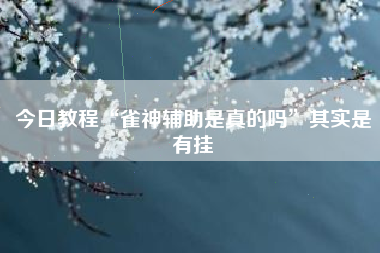 今日教程“雀神辅助是真的吗”其实是有挂