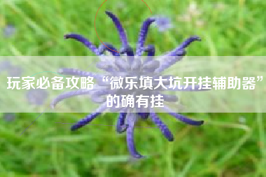 玩家必备攻略“微乐填大坑开挂辅助器”的确有挂