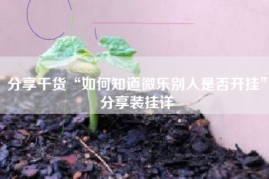 分享干货“如何知道微乐别人是否开挂	”分享装挂详