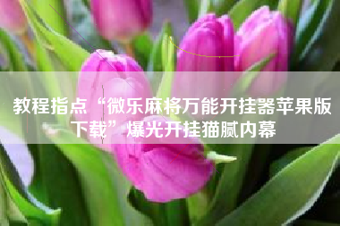 教程指点“微乐麻将万能开挂器苹果版下载	”爆光开挂猫腻内幕