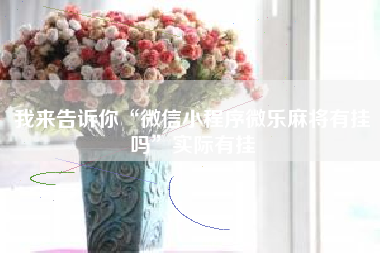 我来告诉你“微信小程序微乐麻将有挂吗”实际有挂