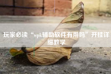 玩家必读“wpk辅助软件有用吗	”开挂详细教学