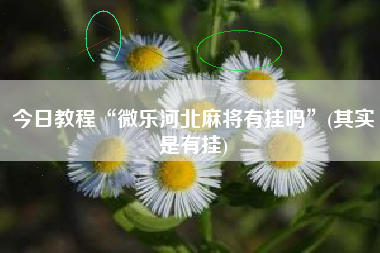 今日教程“微乐河北麻将有挂吗”(其实是有挂)