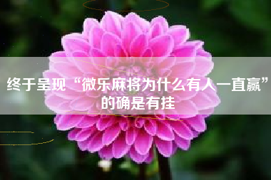 终于呈现“微乐麻将为什么有人一直赢”的确是有挂