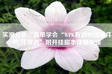 实测分析“简单学会“WPK有透明挂插件吗(详细透”附开挂脚本详细步骤