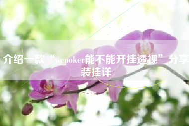 介绍一款“wepoker能不能开挂透视	”分享装挂详