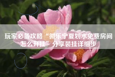 玩家必备攻略“微乐宁夏划水免费房间怎么开挂	”分享装挂详细步