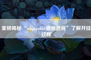 重磅揭秘“sohoopoker德州透视	”了解开挂过程