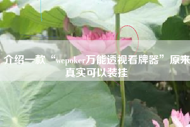介绍一款“wepoker万能透视看牌器”原来真实可以装挂