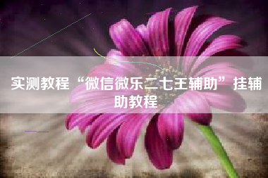 实测教程“微信微乐二七王辅助”挂辅助教程