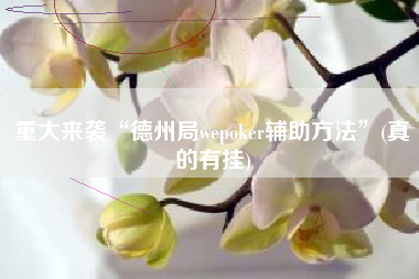 重大来袭“德州局wepoker辅助方法”(真的有挂)