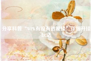 分享科普“WPK有没有透视挂”详细开挂玩法