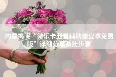 内幕揭晓“微乐卡五星辅助器安卓免费版”详细分享装挂步骤