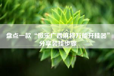 盘点一款“微乐广西麻将万能开挂器”分享装挂步骤