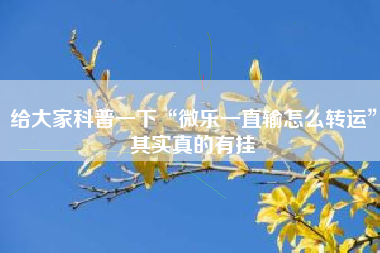 给大家科普一下“微乐一直输怎么转运”其实真的有挂