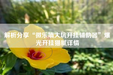 解析分享“微乐填大坑开挂辅助器	”爆光开挂猫腻详情