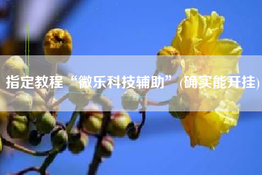 指定教程“微乐科技辅助”(确实能开挂)