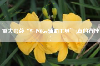 重大来袭“WePOKer辅助工具”(真的有挂)