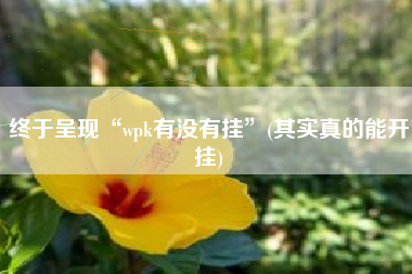 终于呈现“wpk有没有挂”(其实真的能开挂)