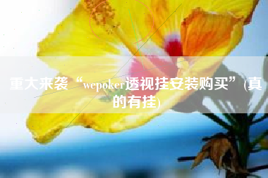 重大来袭“wepoker透视挂安装购买	”(真的有挂)