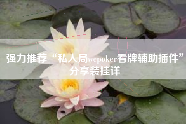 强力推荐“私人局wepoker看牌辅助插件”分享装挂详
